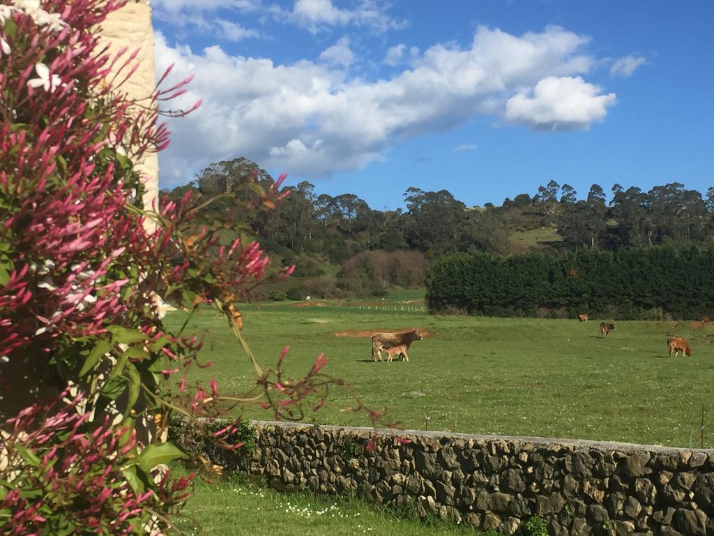 Posada La Roblera Guest House โอเรญา ภายนอก รูปภาพ